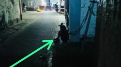 Lagi dan Lagi, Kekerasan Anak Dibawah Umur Terjadi Kembali