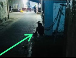 Lagi dan Lagi, Kekerasan Anak Dibawah Umur Terjadi Kembali