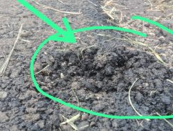 Aktivis LSM Penjara Situbondo Soroti Proyek Hotmix Tak Berkualitas, Diduga Minim Pengawasan