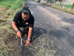 Peningkatan Jalan Hotmix di Kilensari – Kendit Diduga Minim Pengawasan, Berpotensi Kurangi Volume Pekerjaan