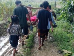 JERIT DARI MONTORNA: Antara Lumpur yang Mengunci Jalan dan Aturan yang Membelenggu Harapan