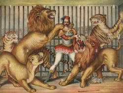 Dongeng pengantar tidur agar kita masih punya harapan  *Macan yang Mengaum ke Pawangnya*