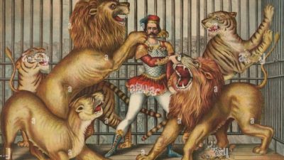 Dongeng pengantar tidur agar kita masih punya harapan  *Macan yang Mengaum ke Pawangnya*