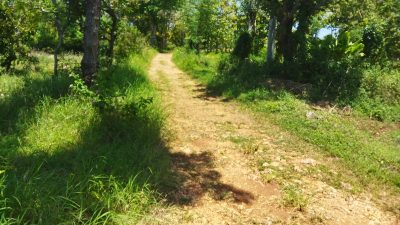 Akses Wisata Religi Goa Mandalia Rusak Parah, Warga Desa Langsar Tagih Janji Perbaikan