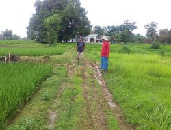 Kepemimpinan Berganti, Janji Tinggal Janji: Jalan Kokon-Tarebung Tak Kunjung Disentuh Meski Masuk RAPDES 2025