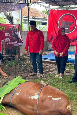 Jalankan Amanah MH Said Abdullah, PAC Kota Sumenep Tebar Hewan Kurban di Hari Idul Adha